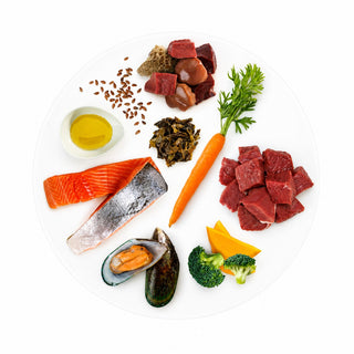 K9 Natural Lamb & King Salmon Feast Freeze-Dried Dog Food