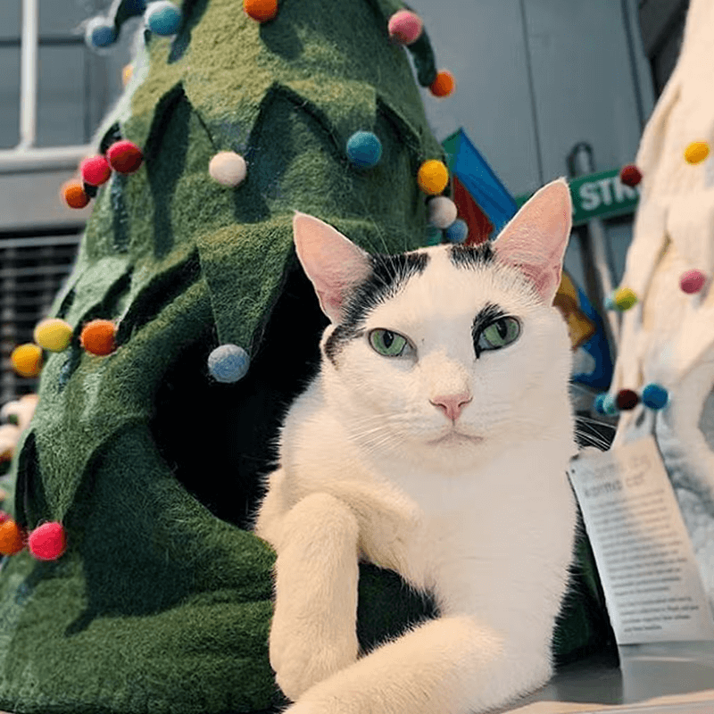 Karma Cat Holiday Tree Wool Pet Cave