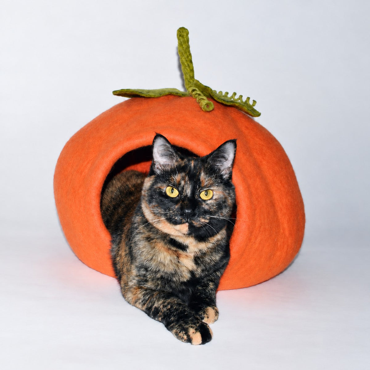 Karma Cat Pumpkin Cave