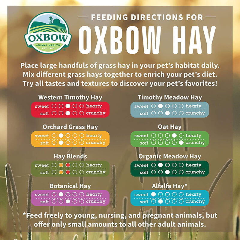 Oxbow Alfalfa Hay
