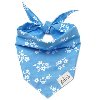 The Paws Bandana - Dixie