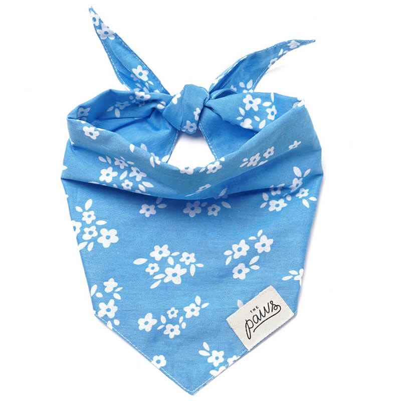 The Paws Bandana - Dixie