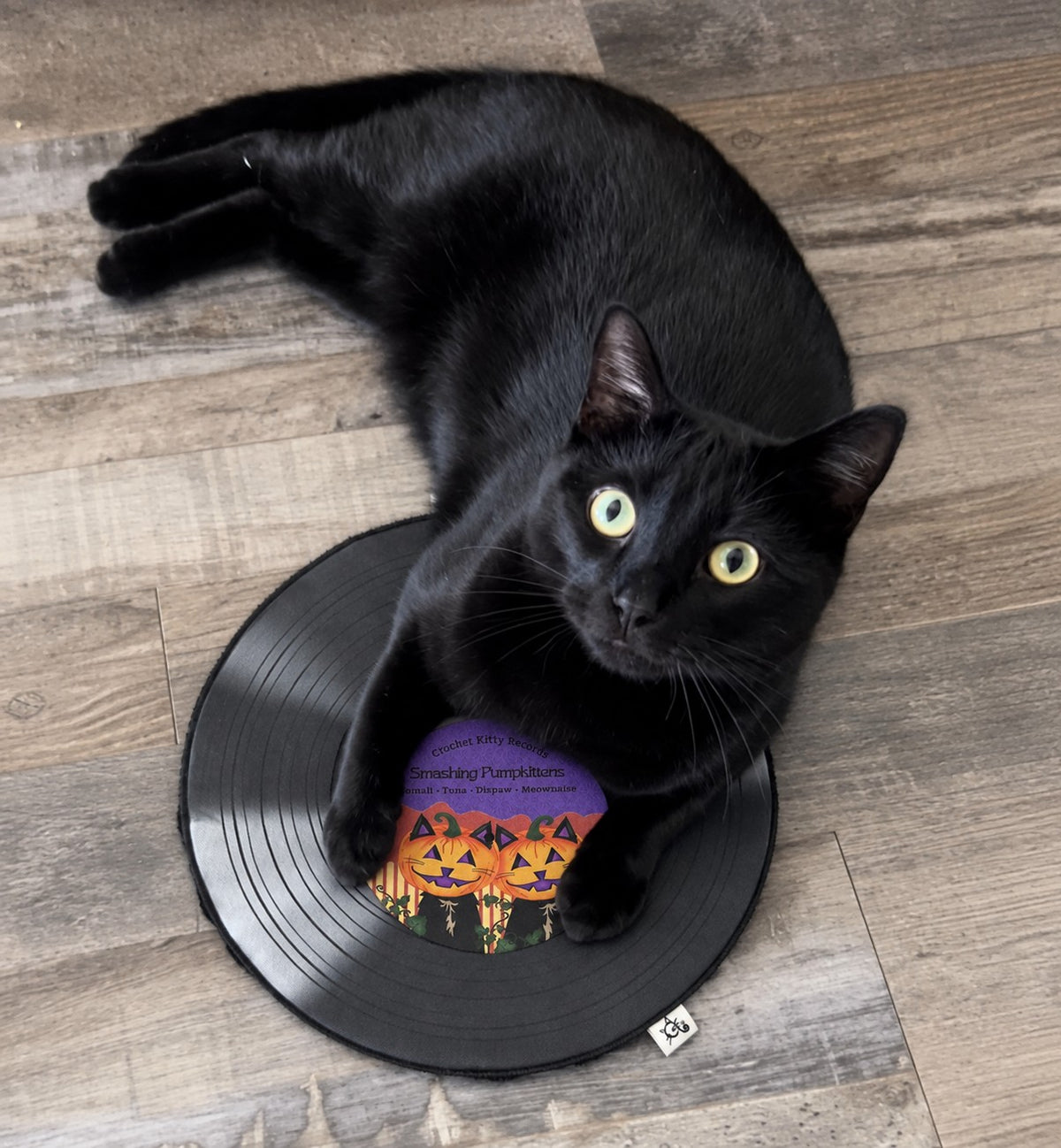 Crochet Kitty Halloween Record Mat - Smashing Pumpkittens