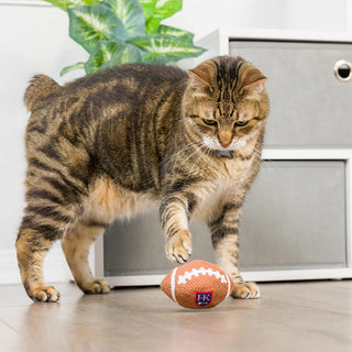 Kittybelles Football Cat Toy