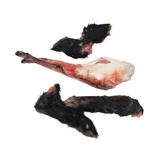 Savage Cat Frozen Hare Heads & Hoppers