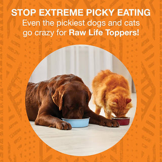 Koha Freeze-Dried Raw Chicken Topper