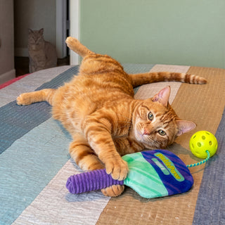 Kong Cat Picklepaw