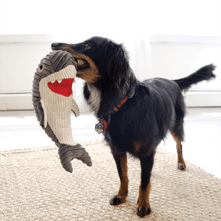 Kong Cuteseas Rufflez Shark