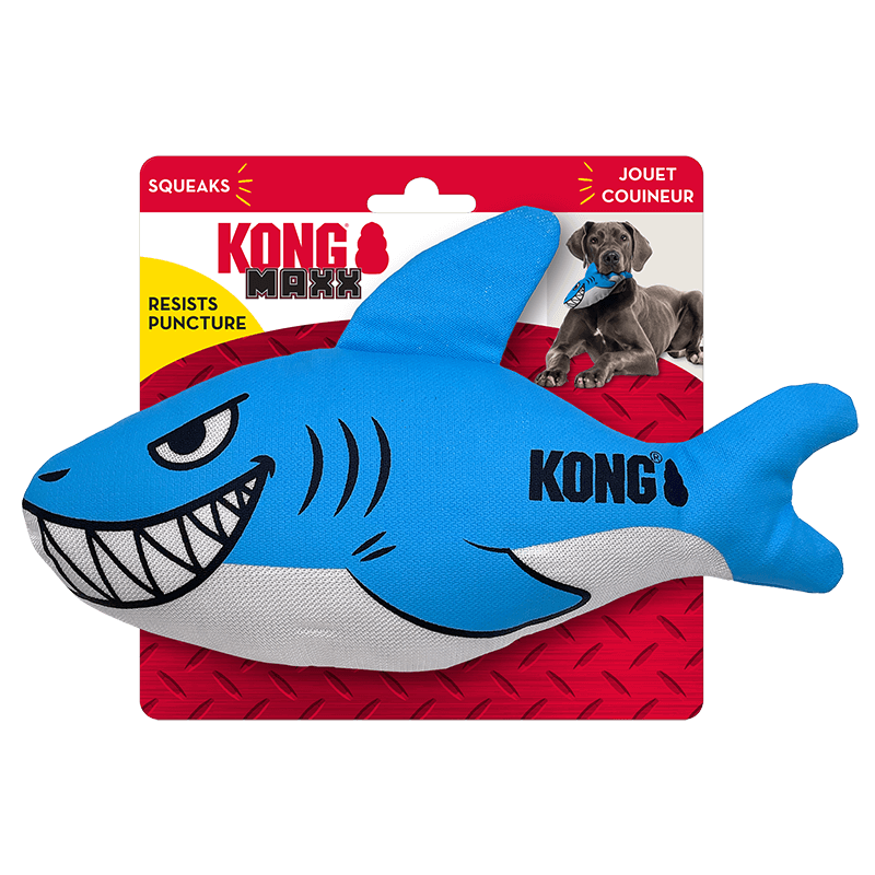 Kong Maxx Shark