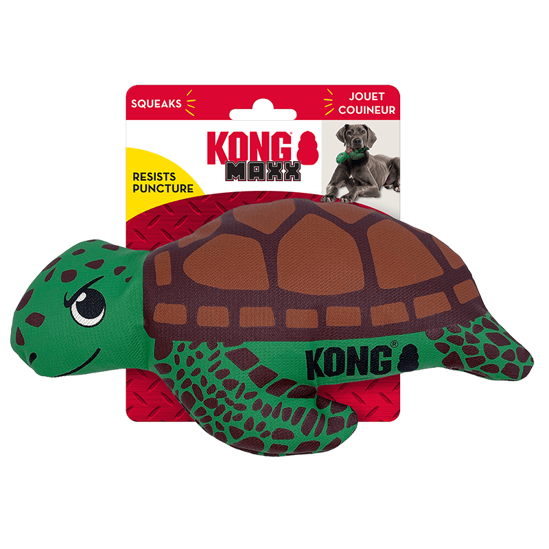 Kong Maxx Turtle