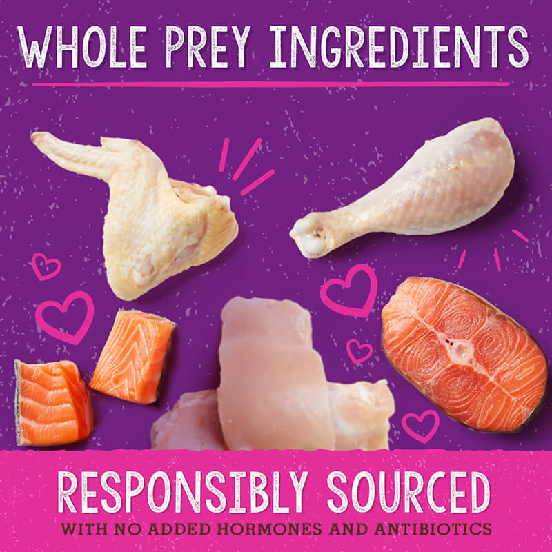 Stella & Chewy's Feline Dinner Morsels Yummy Lickin' Salmon & Chicken