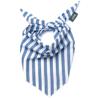 The Paws Bandana - Harbour