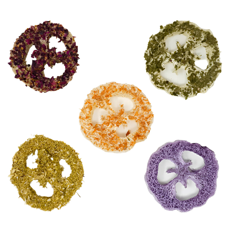 No Furries Delights Flavored Loofah Variety Pack