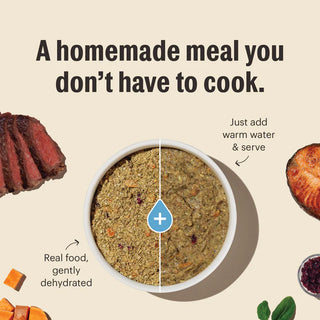 Honest Kitchen Dehydrated Grain-Free Chicken