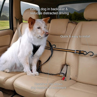 Kurgo Auto Zip Line Leash