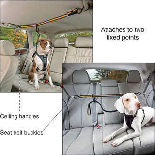 Kurgo Auto Zip Line Leash
