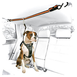 Kurgo Auto Zip Line Leash
