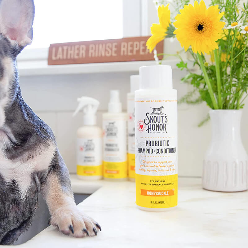 Skout's Honor Probiotic Shampoo + Conditioner  Honeysuckle