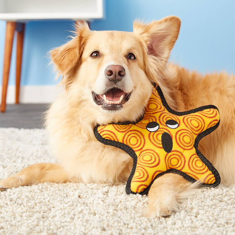 Tuffy® Ocean Starfish