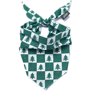 The Paws Bandana - Spruce