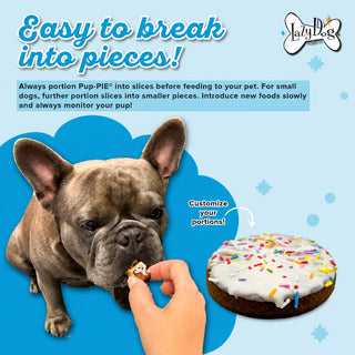 Lazy Dog Birthday Boy Pup Pie