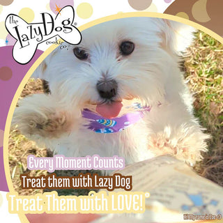 Lazy Dog Mutt Mallows Banana Buddies