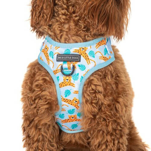 Little Dogs Adjustable Harness: Go Get Em' Tiger