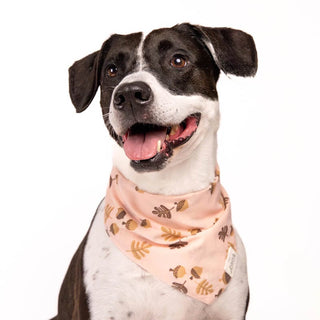The Paws Bandana - Hickory