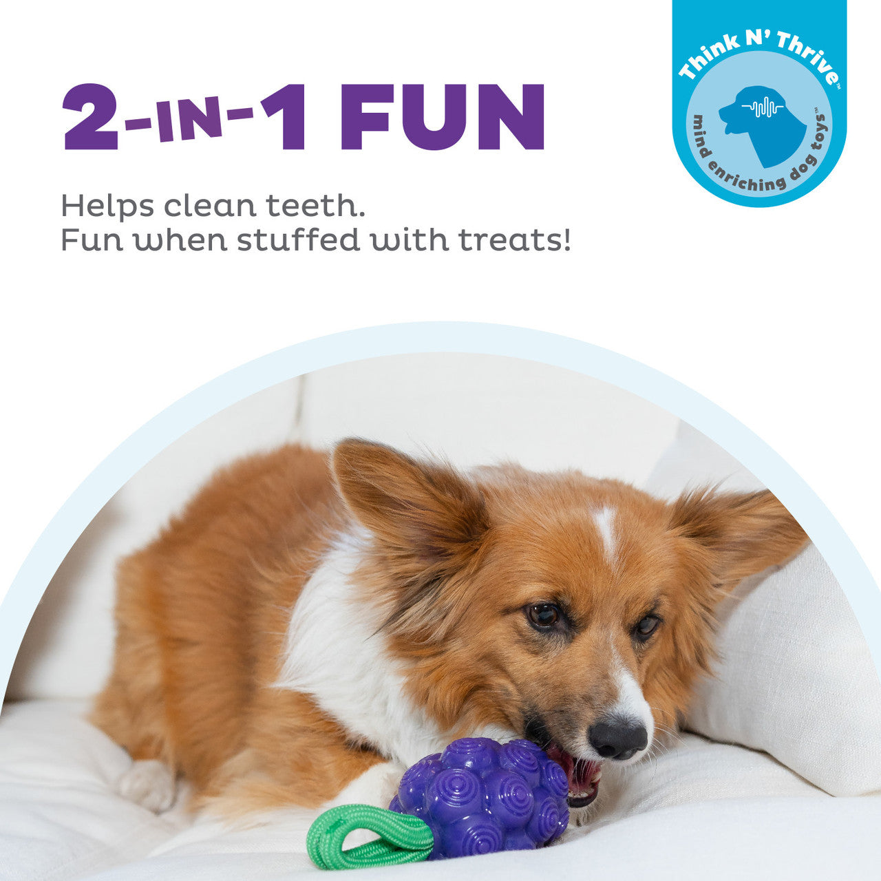 Planet Dog Grape Chew Toy