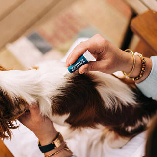 Wondercide Flea & Tick Spot on for Dogs