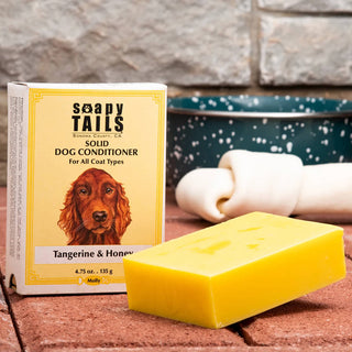 Soapy Tails Solid Dog Conditioner - Tangerine & Honey
