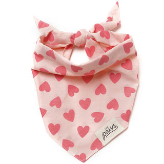 The Paws Bandana - Miss Muffy