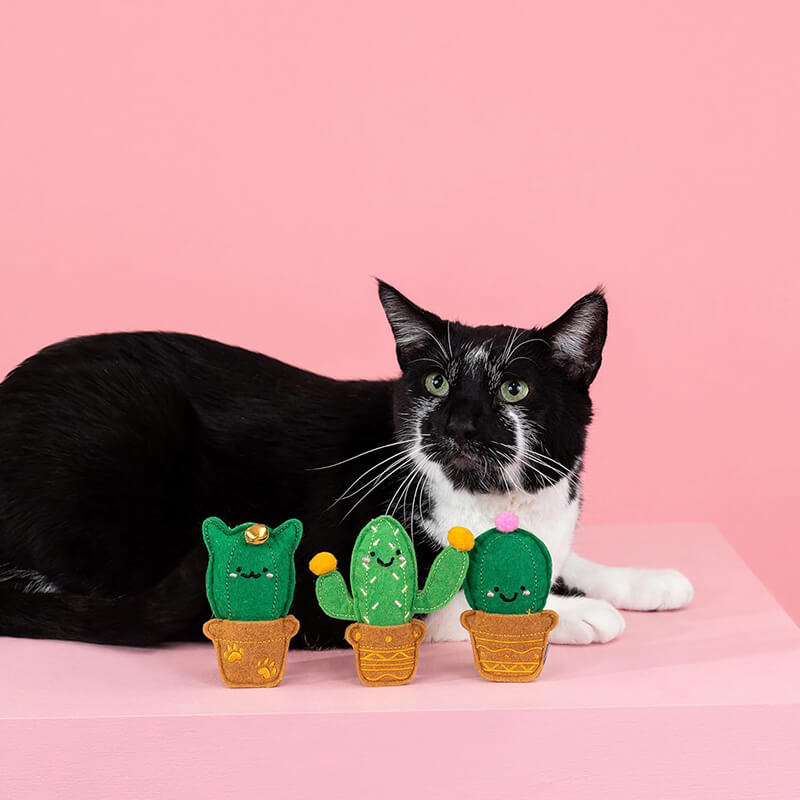 Fringe Studio Cat-us Friends Cat Toy Set