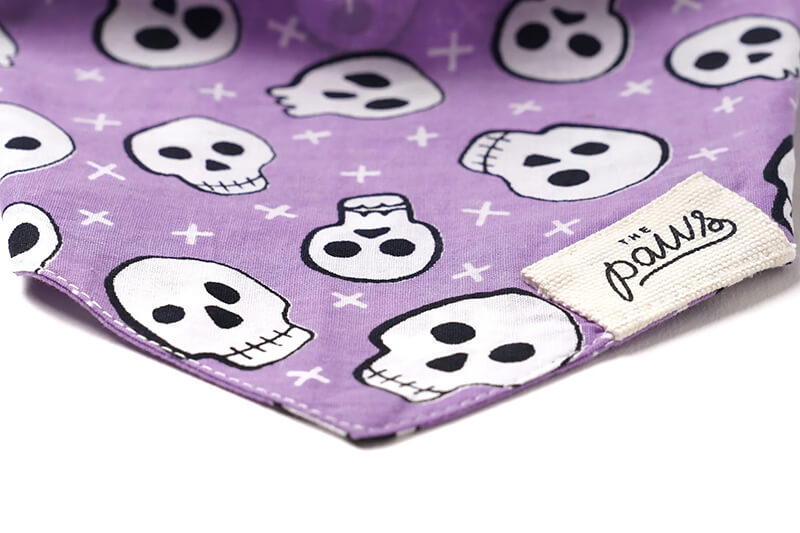 The Paws Bandana - Roger