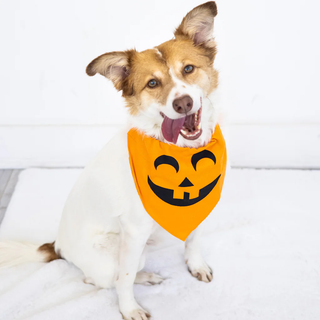 Pearhead Halloween Bandana