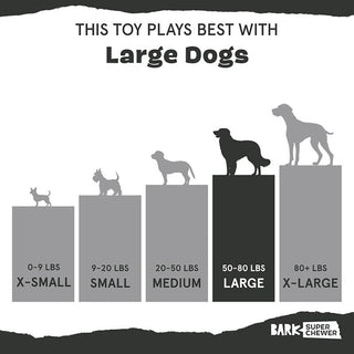 BARK Super Chewer Acornucopia