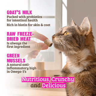 Rawz Freeze-Dried Salmon & Goat Milk Treat