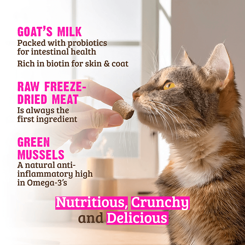 Rawz Freeze-Dried Salmon & Goat Milk Treat