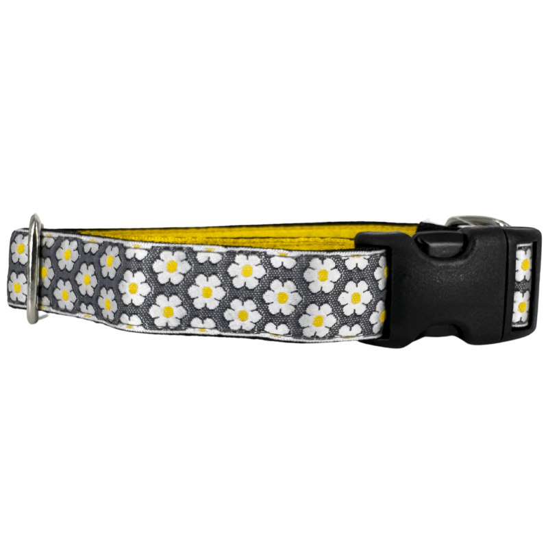 Mackenzie Collar Dainty Daisy Charcoal