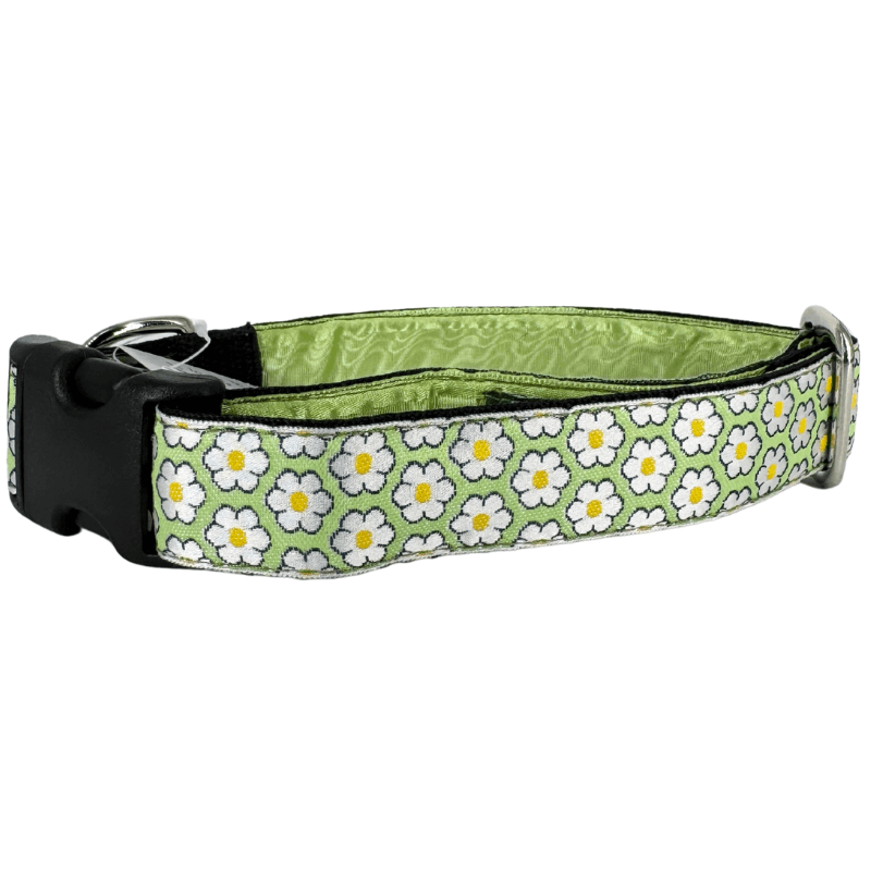Mackenzie Collar Dainty Daisy Green