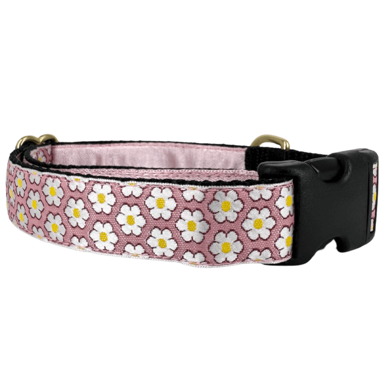Mackenzie Collar Dainty Daisy Pink