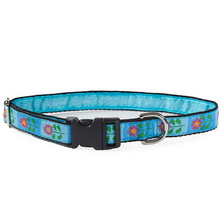 Mackenzie Collar Stand Tall Daisy