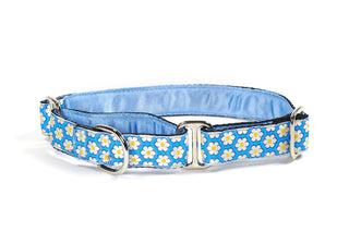 Mackenzie Leash Dainty Daisy Blue