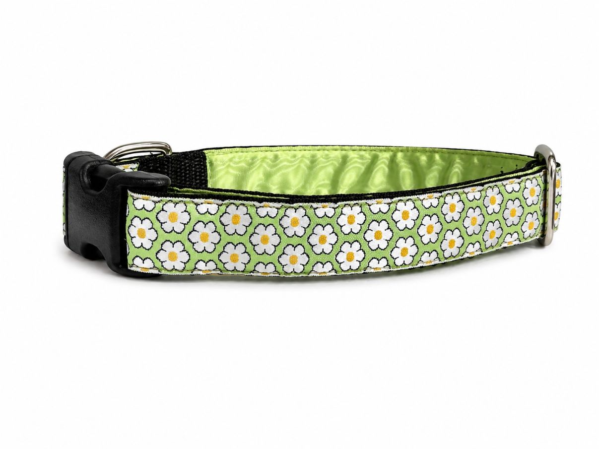Mackenzie Leash Dainty Daisy Green
