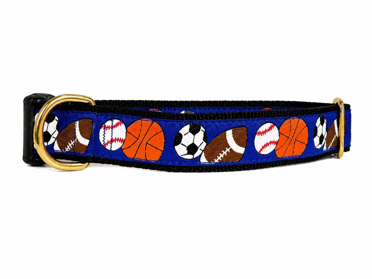 Mackenzie  Collar Sports Balls