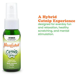 Meowijuana Catnip Spray