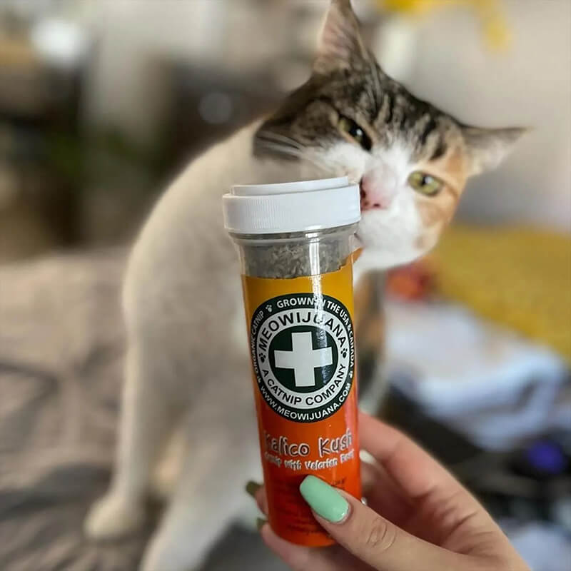 Meowijuana Kalico Kush Catnip & Valerian Root Blend