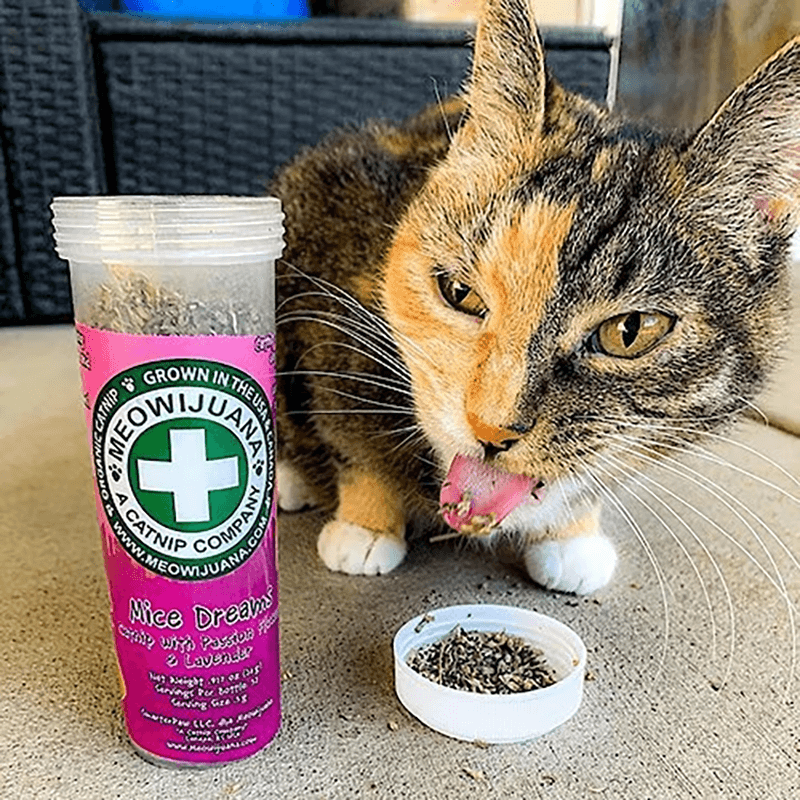 Meowijuana Mice Dreams Catnip With Passion Flower & Lavender