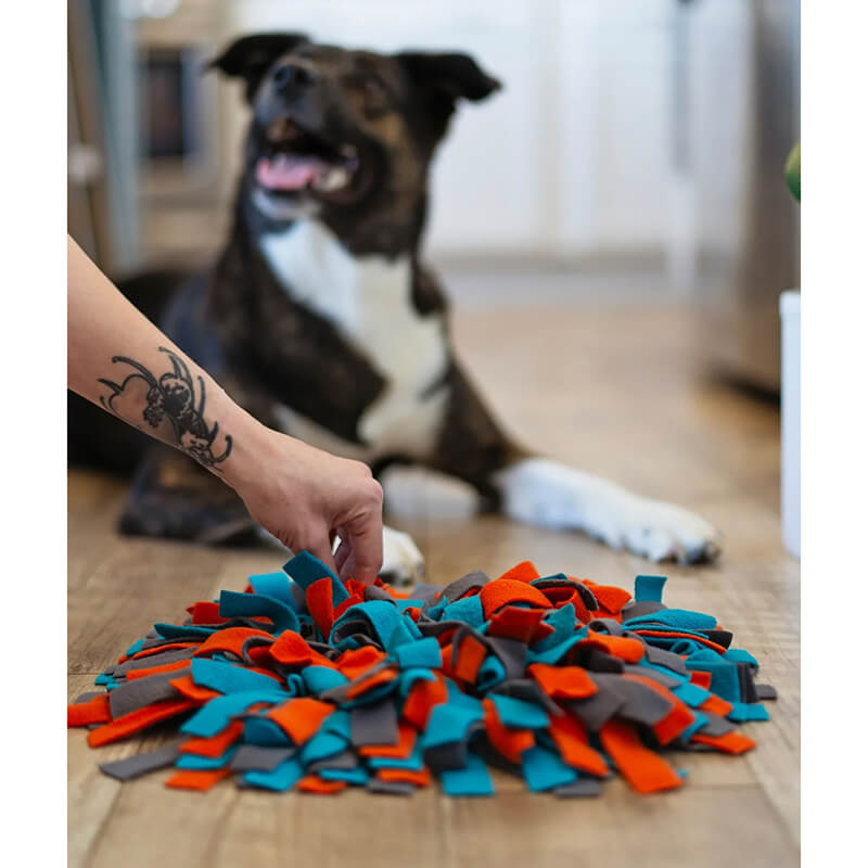 Messy Mutts Forage Mat Round 15"