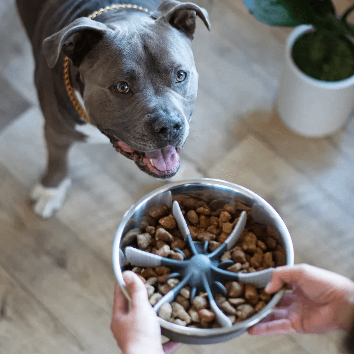 Messy Mutts Universal Slow Feeder Insert